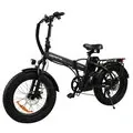 EUDIRECT GERPSI GPS DZ2002 Electric Bike 48V 16AH Battery 500W Motor Recommended Top Speed 25KM or H 20+4_0inch Tires 40 50KM Mileage 120KG Payload Folding Electric Bicycle