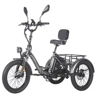 Fafrees F20 Mate Electric Cargo Tricycle Upgrade Version, 500W Motor, 48V 23.45Ah Battery, 20*3.0 inch Tires, 25km/h Max Speed, 120km Max Range, Hydraulic Disc Brakes, Triple Suspension System, Aluminum Differential - Black
