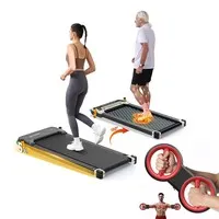 Akluer 520A-A Dual-Sided Walking Pad + Multi-Functional Arm Trainer (RL-2000A)