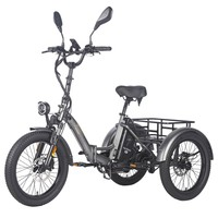 Fafrees F20 Mate Electric Cargo Tricycle Upgrade Version, 500W Motor, 48V 21Ah Battery, 20*3.0 inch Tires, 25km/h Max Speed, 115km Max Range, Hydraulic Disc Brakes, Triple Suspension System, Aluminum Differential - Black