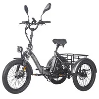Fafrees F20 Mate Electric Cargo Tricycle Upgrade Version, 500W Motor, 48V 21Ah Battery, 20*3.0 inch Tires, 25km/h Max Speed, 115km Max Range, Hydraulic Disc Brakes, Triple Suspension System, Aluminum Differential - Black