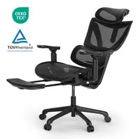 ACGAM CG-5245M Ergonomic Office Chair (2025 NEW), Computer Chair with Footrest, 3D Adjustable Armrest, Adjustable Lumbar Support & Headrest, Seat Depth Adjustable, Load Capacity up to 300 lbs, Black