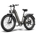 EU Direct FAFREES F26 Rover Electric Bike 48V 20AH Battery 250W Motor Top Speed 25KM or H 26+4_0inch Tires 70 95KM Max Mileage 150KG Max Load Electric Bicycle