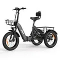 EU DIRECT PVY F20 Electric Tricycle Cargo 48V 21Ah Battery 250W (Unlocked 1000W) Motor Recommended Top Speed 25KM or H 20+4_0inch Tires 80KM Max Mileage Range 150KG Max Load Mechanical Disc Brakes Folding Electric Bike