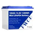 PWOD 12_8V 100Ah 1280Wh Mini LiFePO4 Battery Pack Grade A Build in BMS Lithium Iron Phosphate For RV EV Camping