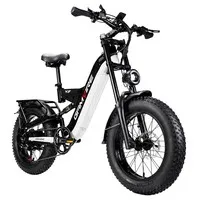 V9 Electric Bike, 250W Brushless Motor, 48V 19.2Ah Removable Battery, 110km Max Range, 90N·m Torque, 20×4.0-Inch Fat Tires, Triple Suspension, 7-Speed, 180mm Hydraulic Disc Brakes, 150kg Max Load - Black&White