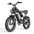 EU Direct RAYZEPH C20 Lite Electric Bike,48V 15_6AH Battery,1500W Motor,Recommended Top Speed 25KM or H,Front and Rear Oil Brakes,Dual Suspensions,80KM Max Mileage,150KG Max Load,Electric Bicycle