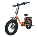 EU DIRECT Bluvall Z01 Electric Bike 36V 13AH Battery 250W Motor Recommended Top Speed 25KM or H 20+4_0inch Fat Tire 40 50KM Mileage 120KG Max Load Folding Electric Bicycle