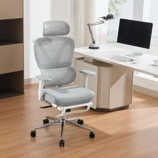 Ergonomic High Back Mesh Office Chair - Footrest, Adjustable 3D Armrests & Headrest, Dynamic Lumbar Support - Reclining Executive Swivel Computer Desk Chair for Home Office & Gaming