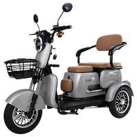 Freejoyer FV6 Electric Tricycle, EEC certificate, 250W Motor, 60V 20Ah Battery, 10*3 inch Tire, 25km/h Max Speed, 55km Range, Front Disc Brake & Rear Drum Brake, Hydraulic Front Fork - Grey